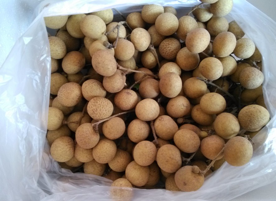 新鲜龙眼高州储良石硖龙眼桂圆5斤水果整箱 新鲜龙眼 2500g精选装