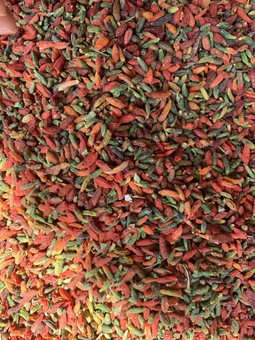 新货长白山枸杞小粒枸杞青枸杞无硫免洗红枸杞枸杞瓶装250克一瓶