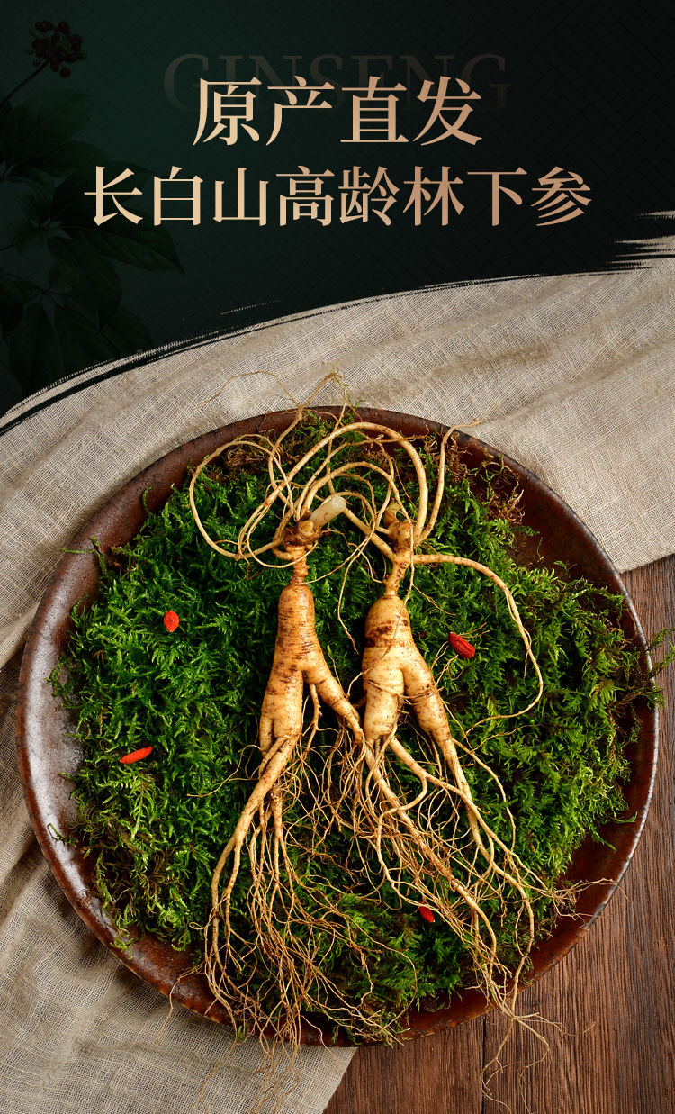 12年新鲜林下参长白山野山参东北林下参新鲜移山参单支重1525克2支装