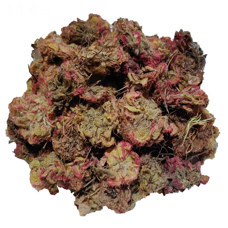 落地金钱锦地罗怎地罗一朵芙蓉花夜落金钱锦地萝金线吊芙蓉250克