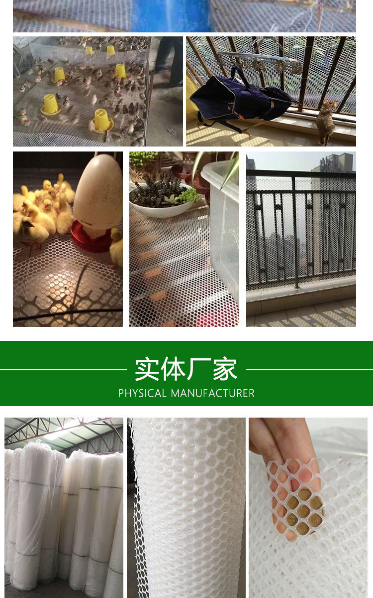 家用阳台防护网塑料封窗网垫塑料平网家禽养殖防猫网新料12厘米孔径50