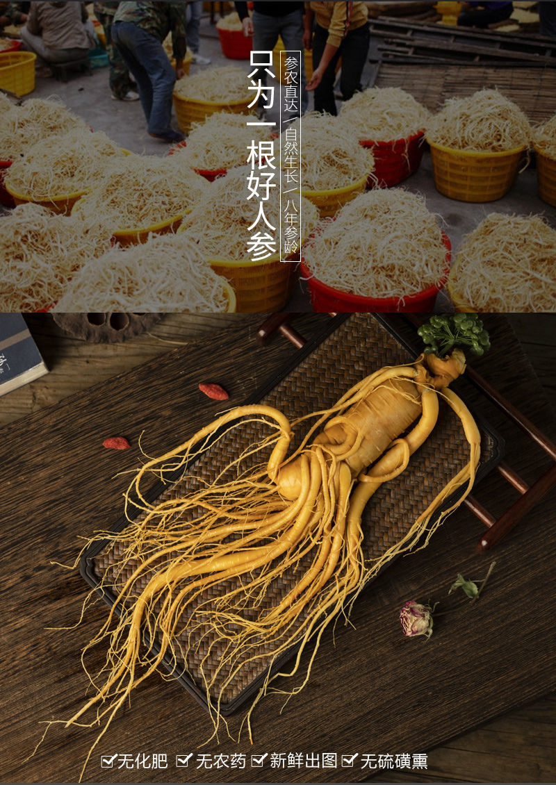 伊梵麦300600克保鲜人参长白山东北特产批发超大送礼泡酒煲汤保鲜人参