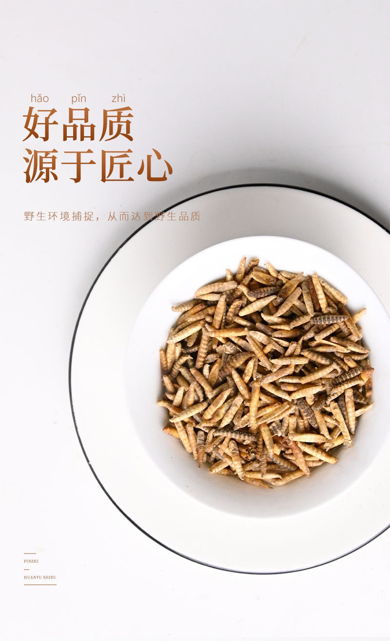 北京同仁堂原料五谷虫新货广东干黄金五谷虫粉泡水煎泡酒中药材内廷上