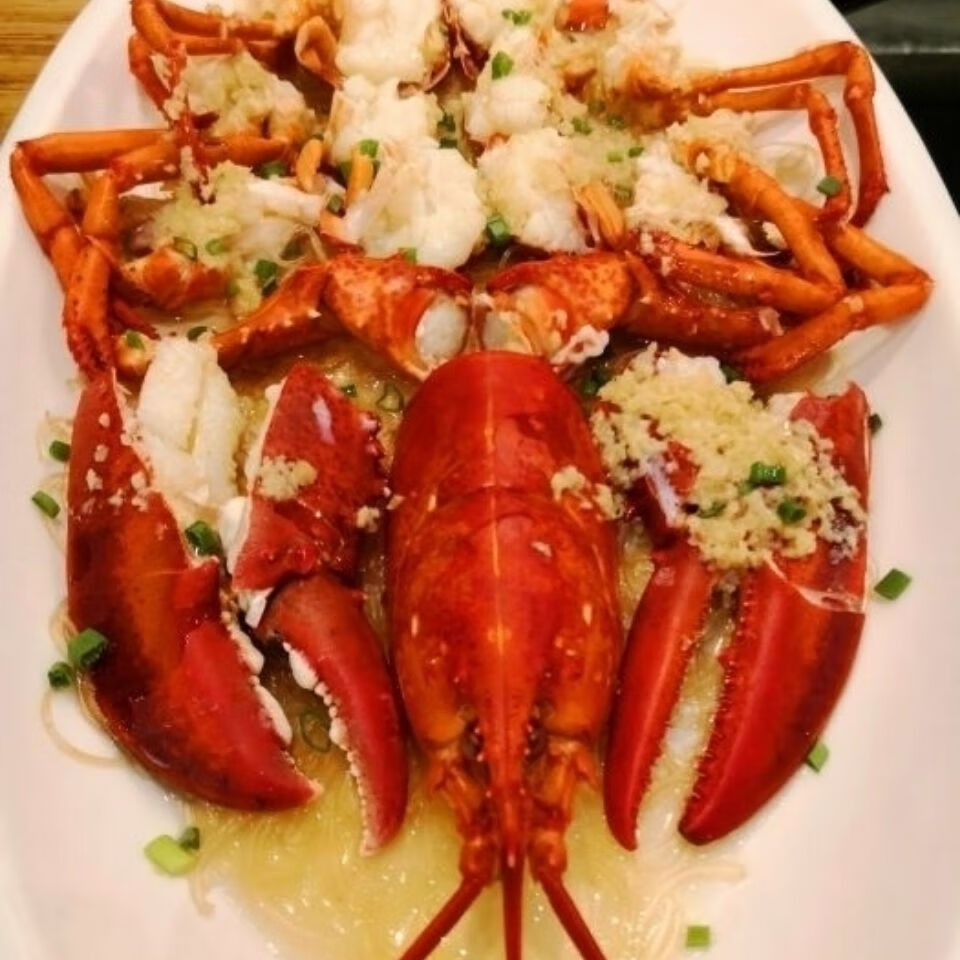 鲜活速冻波士顿大龙虾超大一只315斤龙虾冰鲜加拿大波龙8斤一只