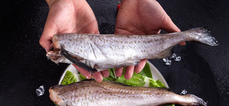 去头鳕鱼冷冻无头鱼狭鳕鱼明太鱼海鲜水产深海鳕鱼大棒鱼柴鱼 三斤装