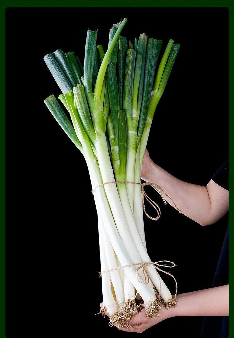 山东铁杆大葱新鲜大葱农家自种大葱批发现挖现发 3斤精选【图片 价格