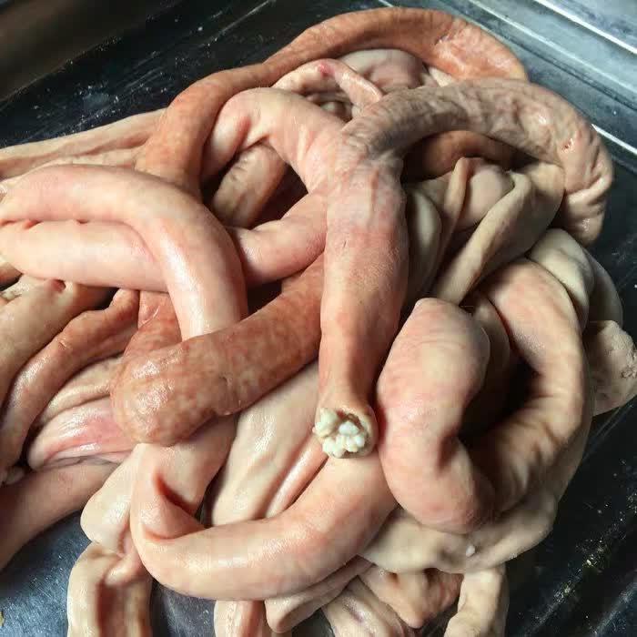 牛小肠 牛肠肥子 半熟牛肠 属牛杂 黄牛生肠子 量大价优 姬美食尚 2斤
