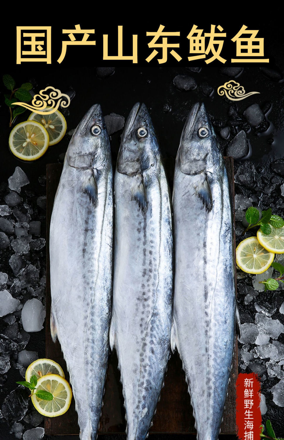 顺丰速运鲅鱼批发马鲛鱼新鲜肉馅整条青占鱼特大燕鲐鲅鱼鲭鱼锦蜜姬5