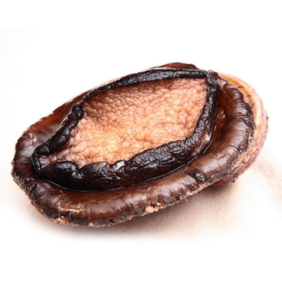 冷冻活冻澳洲鲍鱼 鲜活澳鲍 多规格 澳大利亚特大黑边鲍鱼 黑金鲍鱼食