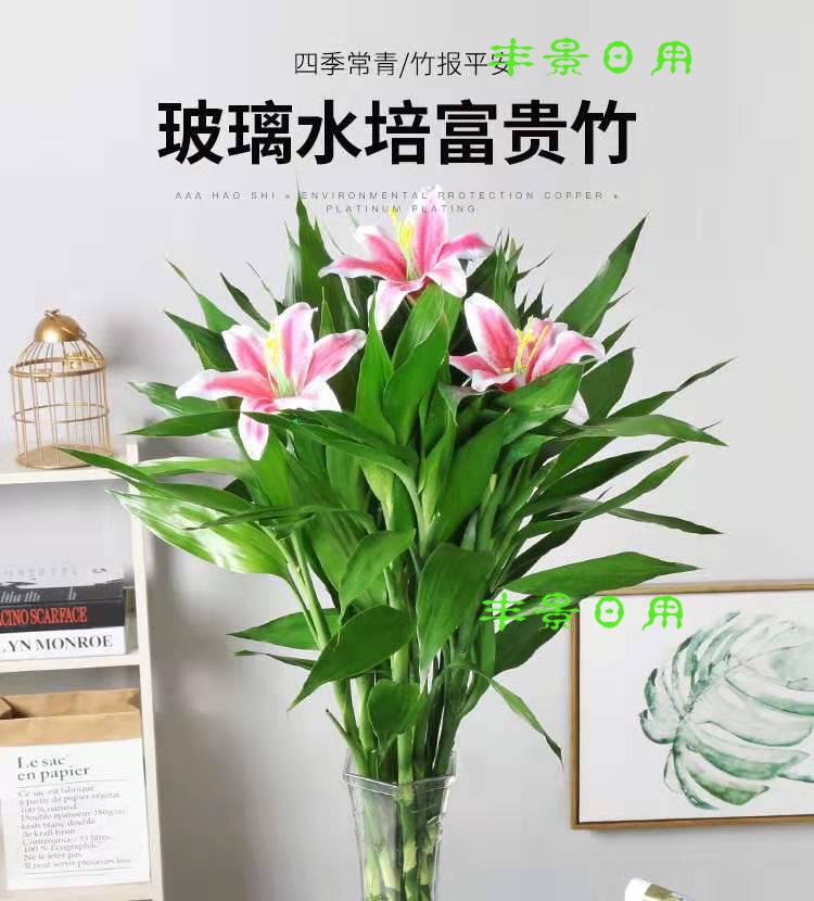 富贵竹加仿真百合花竹观音竹竹水养植物吸甲醛办公室客厅jn竹子高端