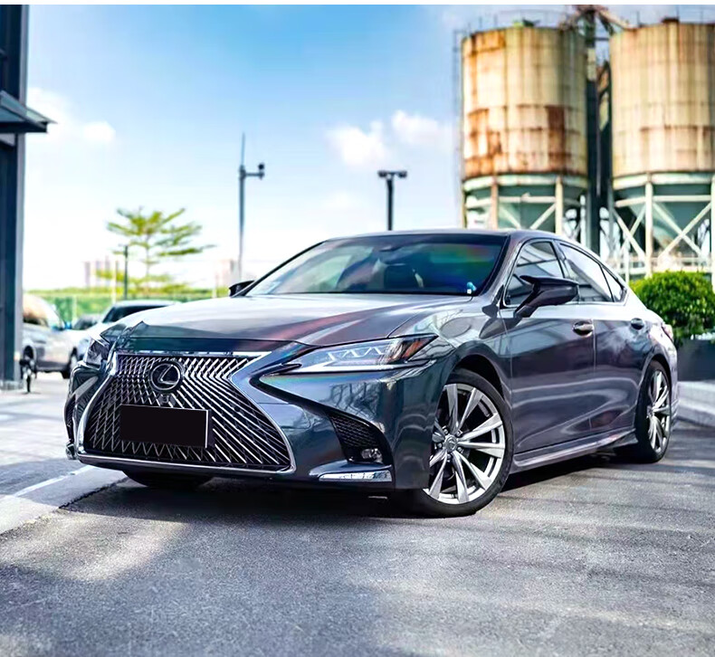 适用雷克萨斯es15-22款200中网外观改装ls中网套件300h/260前脸 洞狮