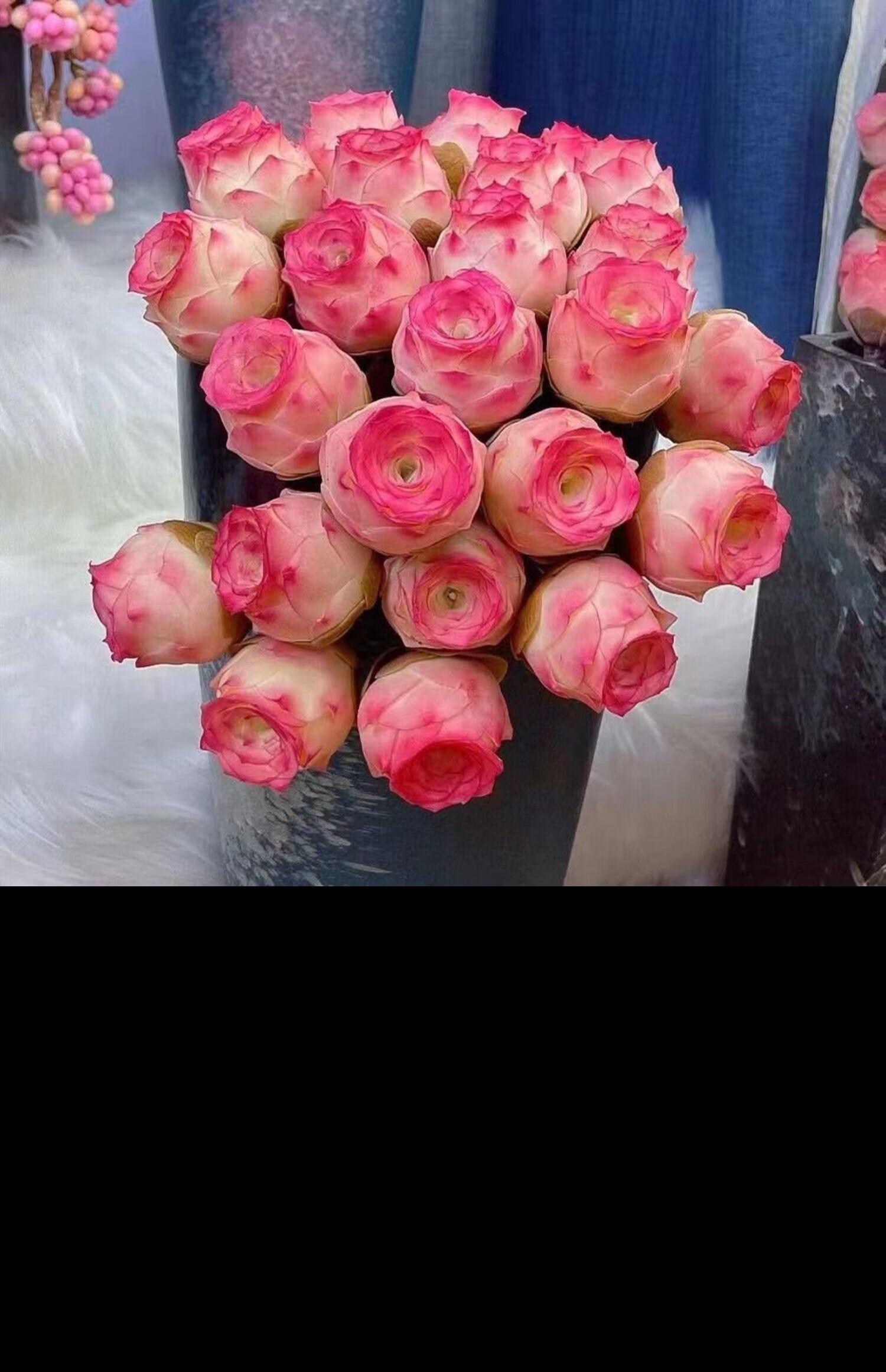 墨一(moyi)抖音同款山地玫瑰多肉水蜜桃酒杯玫瑰多肉植物盆栽肉肉室内