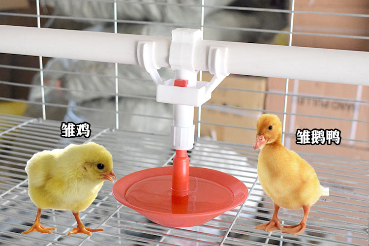 养鹅鸭子育雏自动饮水器乳头饮水器喂水鸡用养殖场禽用饮水碗配件6分