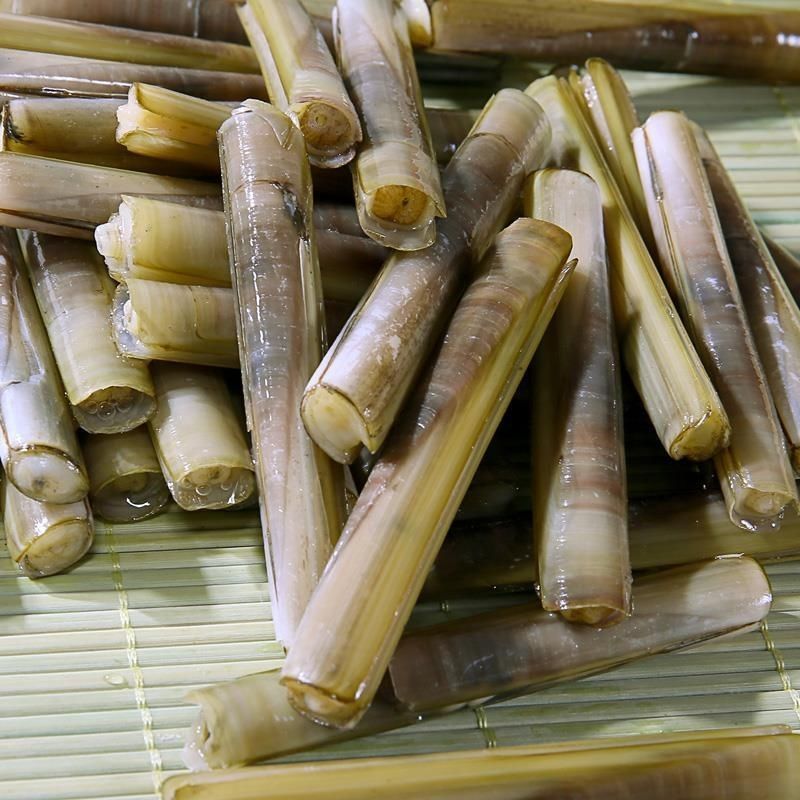 大竹蛏子海鲜水产贝类鲜活蛏子速冻新鲜蛏子双头蛏海蚬海贝 大蛏(18