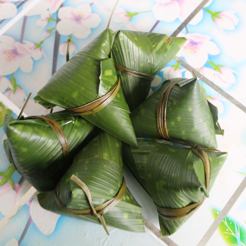 四川新鲜粽叶100张大叶云南花粽子叶一叶兰