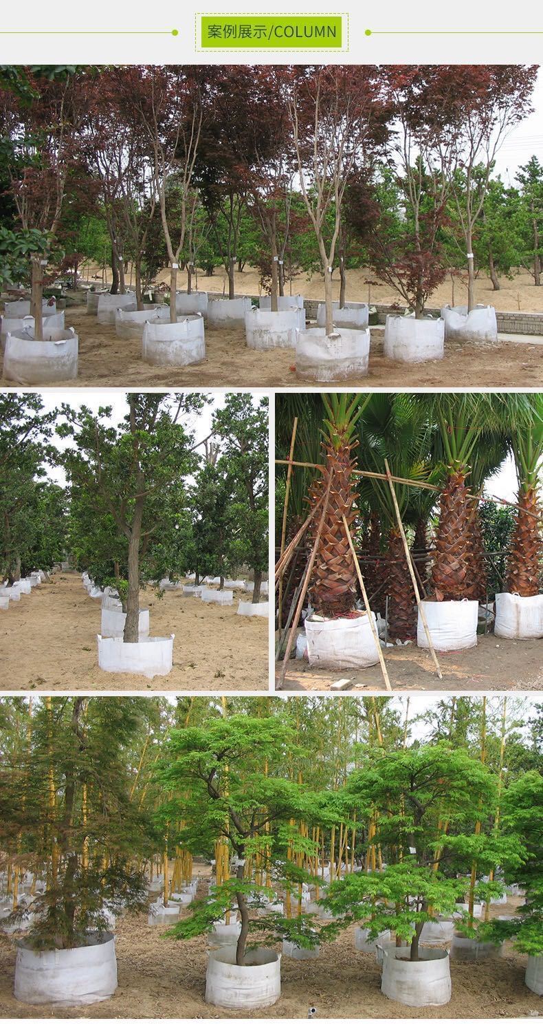 无纺布种植袋加厚育苗袋美植袋阳台种花种袋种树袋植树袋花盆白色