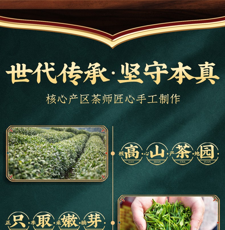 雀舌茶叶 2022新茶绿茶雀舌茶春茶明前嫩芽贵州湄潭雀舌翠芽散装罐装