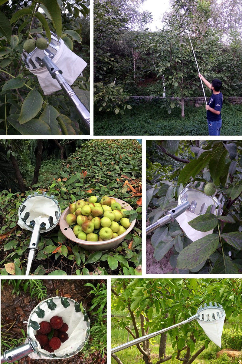 摘果神器多功能伸缩杆采摘苹果杨梅荔枝芒果高空采果的工具不锈钢款摘