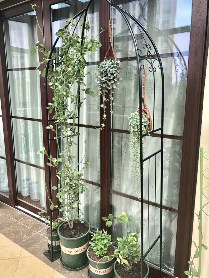 新品欧式铁艺小型阳台拱门花架爬藤架攀爬铁线莲月季园艺花支架 黑色