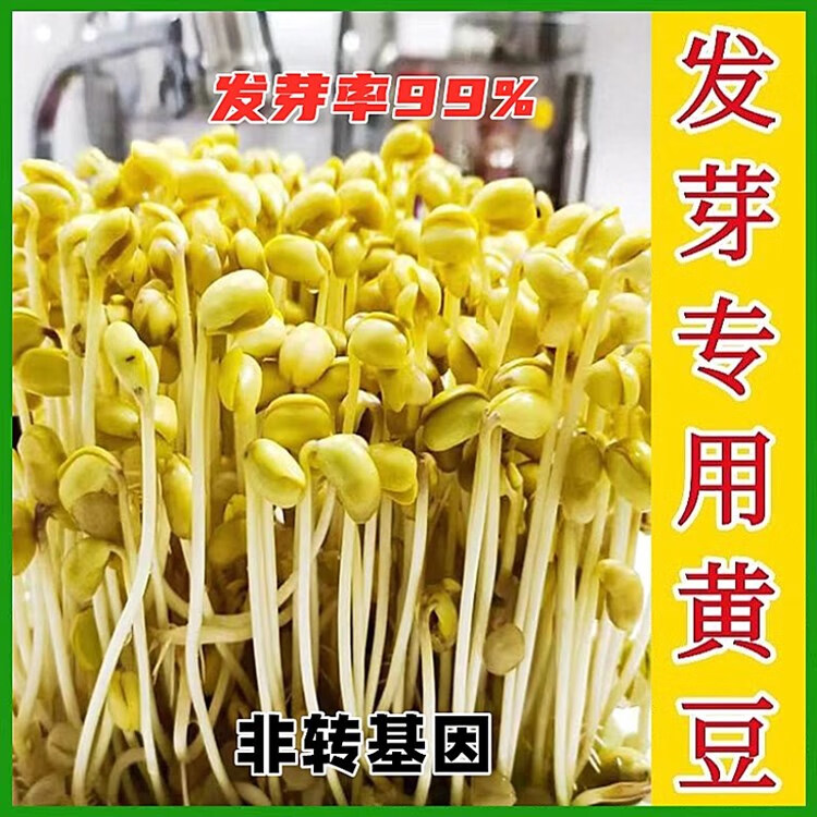 c298a39b67ec834d.jpg
