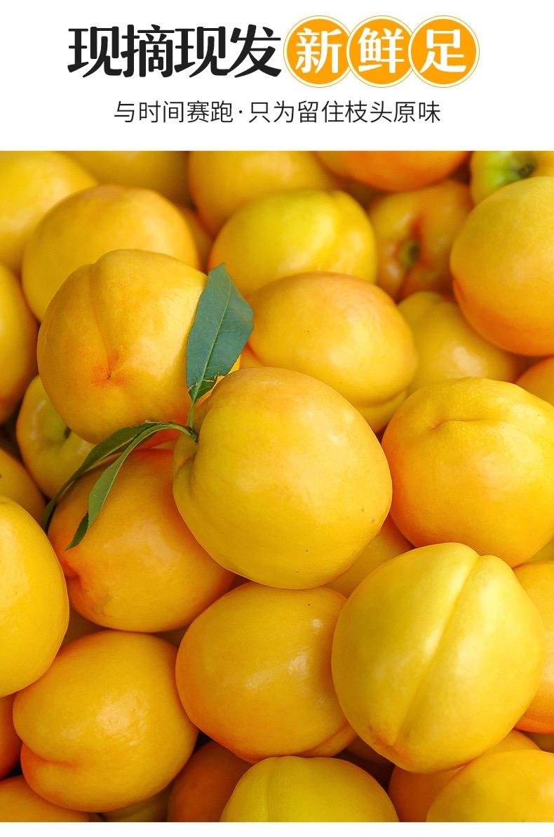 黄油桃山东沂蒙山黄金油桃当季现摘新鲜脆甜蜜桃孕妇精品水果黄金油