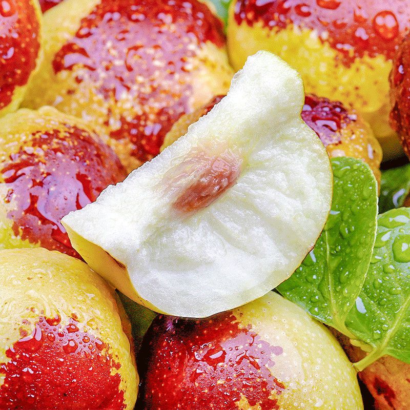 源外 山西临猗庙上冬枣新鲜枣甜枣子脆枣现摘大枣 5斤 礼盒冬枣【现摘