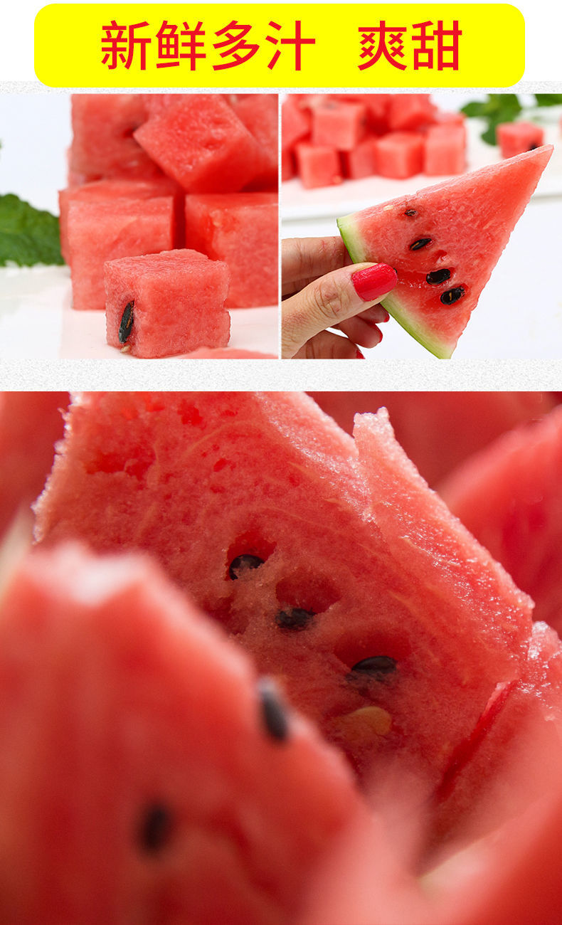 薄皮西瓜8424麒麟西瓜当季现摘新鲜西瓜早熟西瓜超甜西瓜水果头茬西瓜