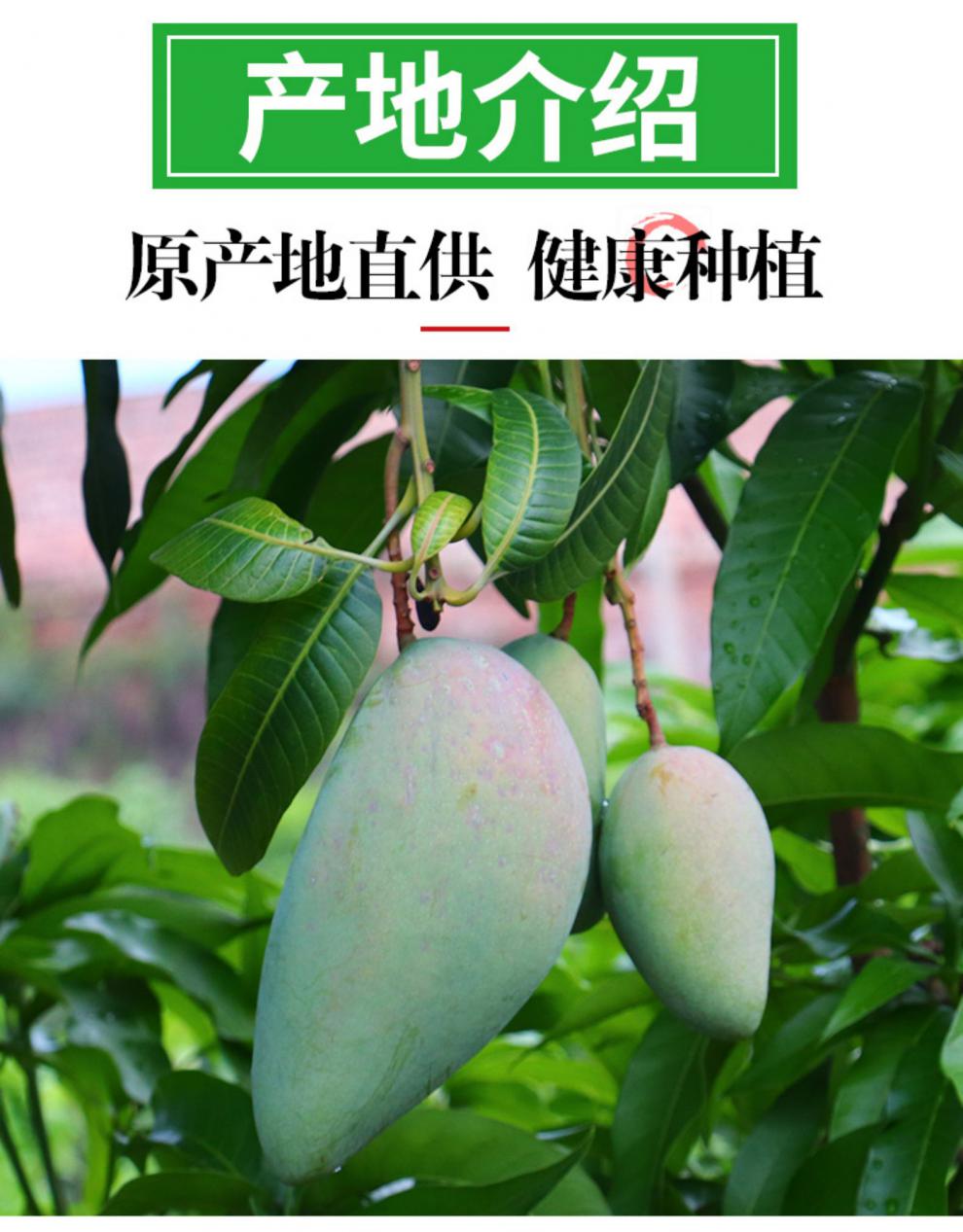 越南包装形式:简装品种:青芒货号:fyqm05252242sss商品产地:越南商品