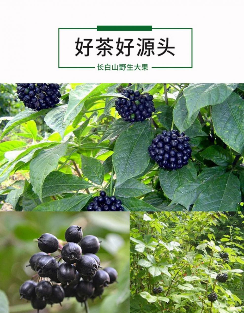 刺五加果500g大分量五加皮东北颗粒新鲜睡眠长白山茶50g野生刺五加籽