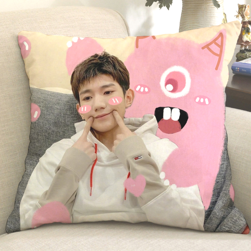 王源抱枕tfboys王源周边定制抱枕二字弟弟同款小汤圆应援海报玩偶创意