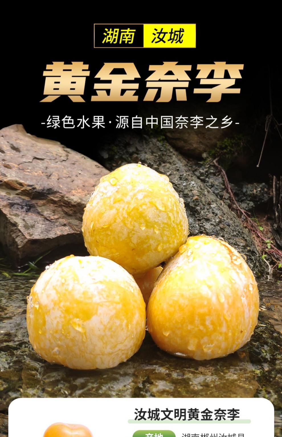 湖南郴州汝城文明黄金奈李正宗李子当季新鲜水果大脆甜10十斤脱骨 50