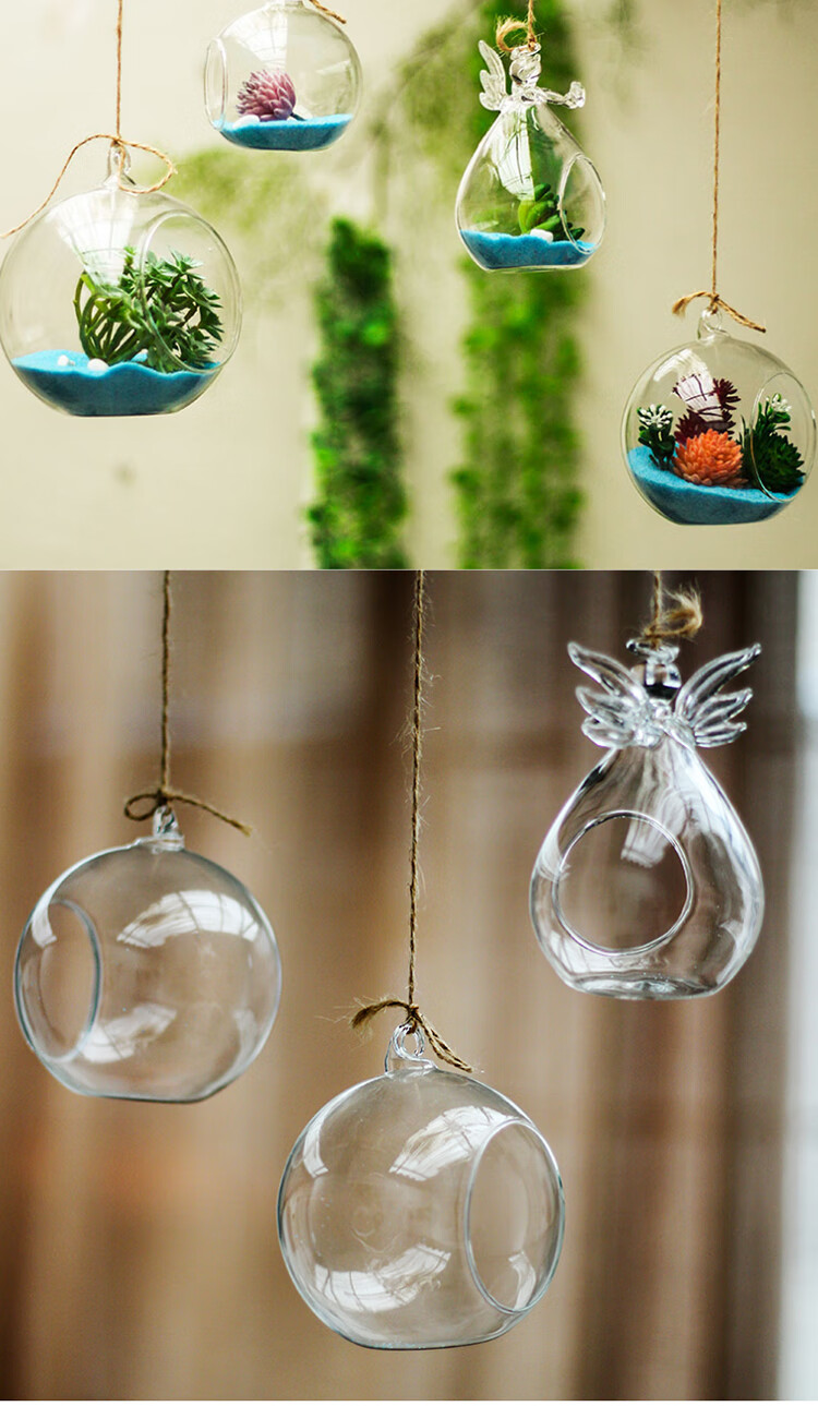 自然植物角装饰玻璃吊瓶假多肉微景观幼儿园空中吊饰环创布置悬挂锋霸