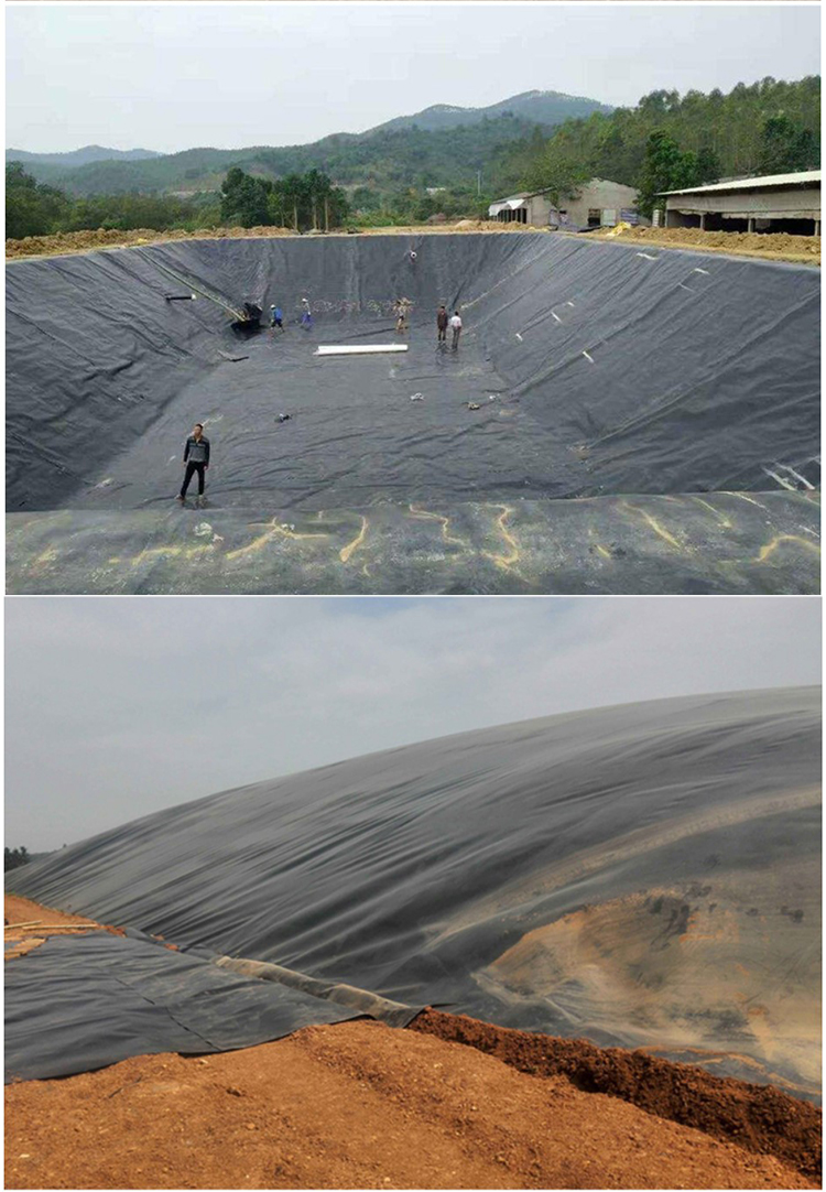 鱼塘渗膜加厚水土工膜蓄水池渗布鱼池水布水池漏膜薄膜水池膜2米宽10