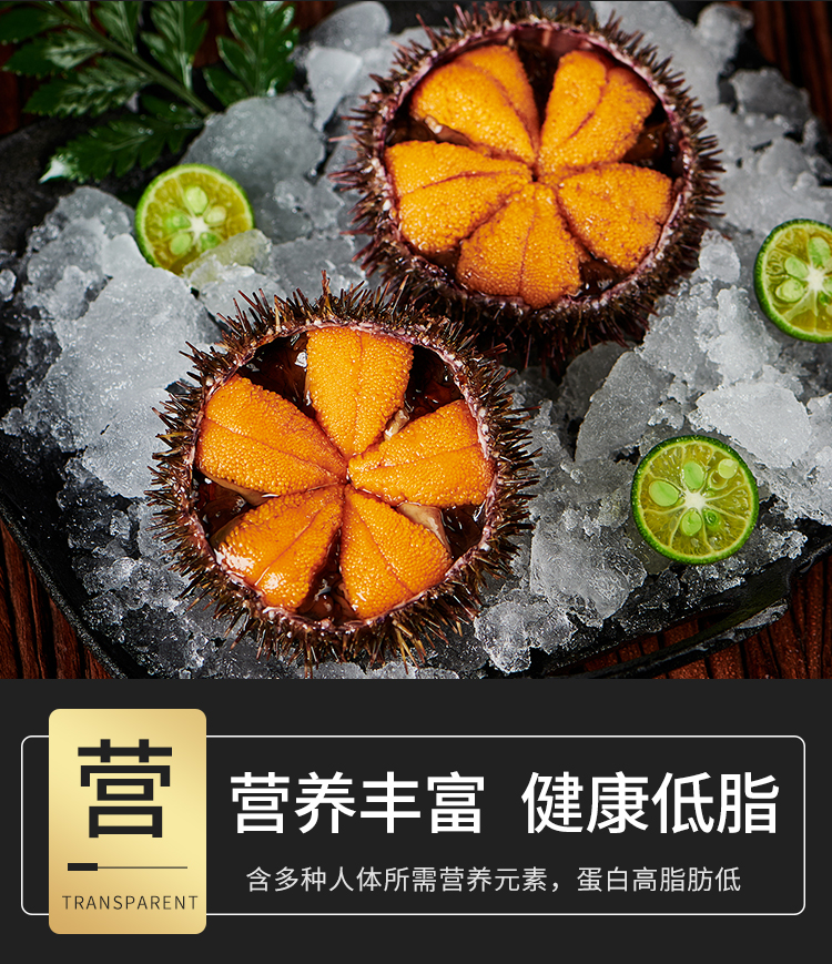 马粪海胆大连海胆鲜活海胆3-4个500g【图片 价格 品牌 报价】-京东