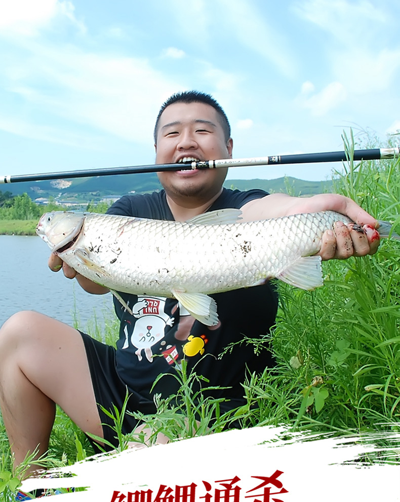 鱼竿大物竿手竿鱼杆台钓竿超轻超硬十大19调手杆钓鱼竿汉鲨二代36米轻