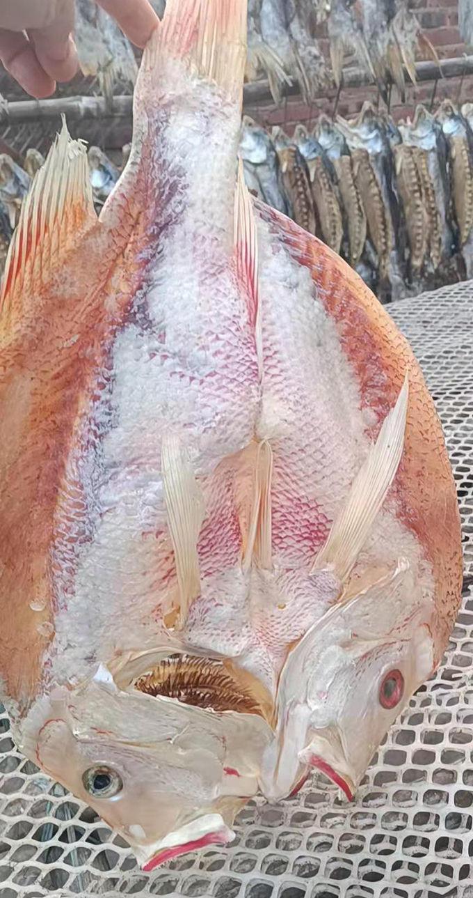 海南红鱼干湛江特产深海大红鱼干自晒咸鱼干红立鱼海南红鱼送礼海鲜