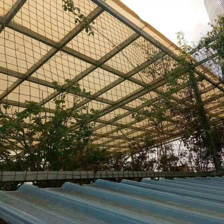 泥盆纪米黄色遮阳网防晒网遮光阴网楼顶阳台庭院花卉加密汽车棚隔热