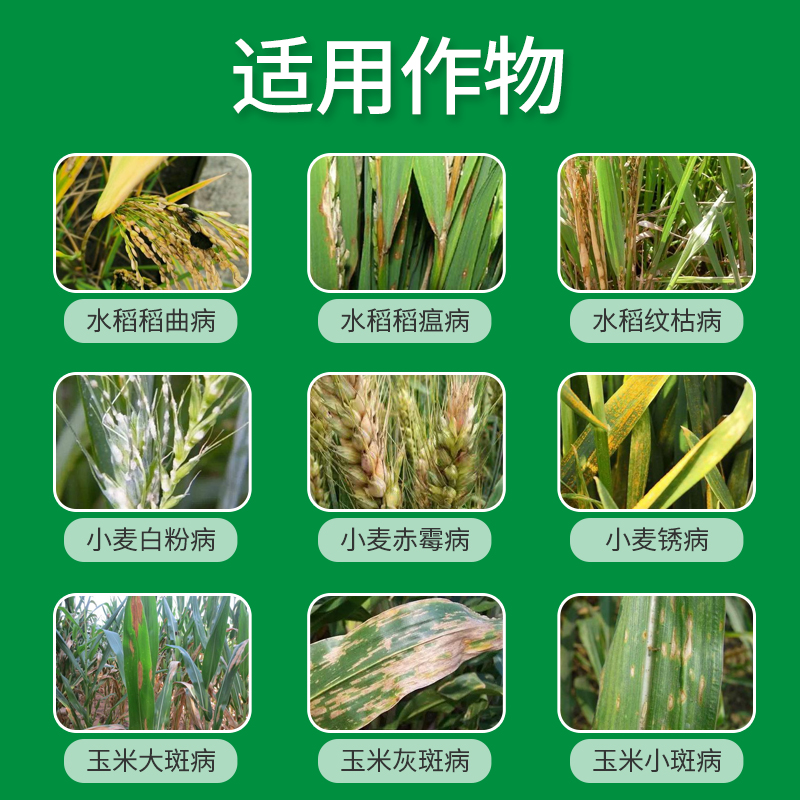 拜耳稳腾戊唑醇拿敌稳小麦水稻玉米稻瘟病纹枯大斑病农药剂40ml