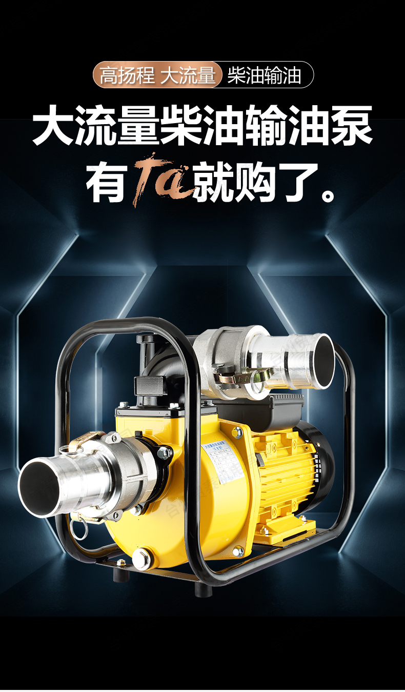 24ⅴ220v伏小型防爆汽油车载手提式油桶 抽油泵遥控启停器【图片 价格