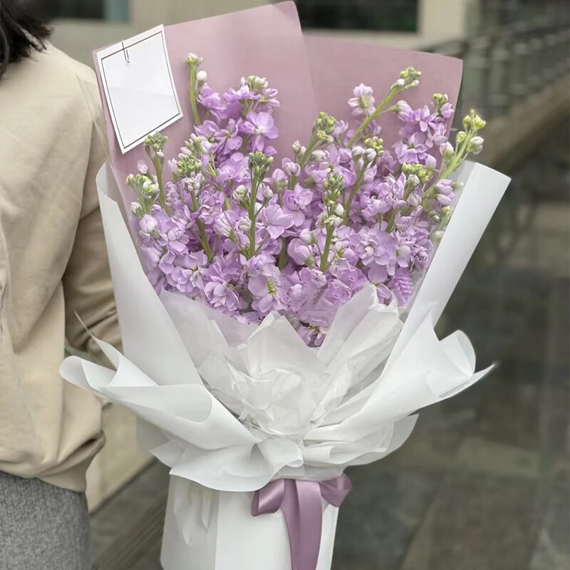 鲜花速递紫罗兰花束全国同城配送闺蜜生日纪念日礼物 19株白色紫罗兰