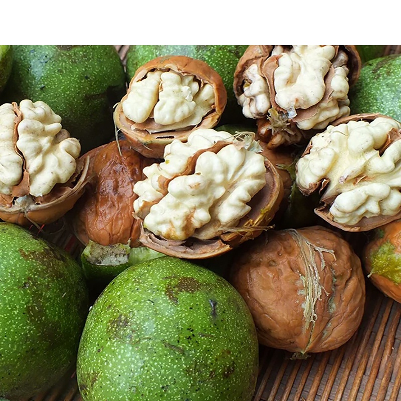 左权青皮核桃新鲜生带去绿皮野生湿核桃孕妇水果五斤现摘现发