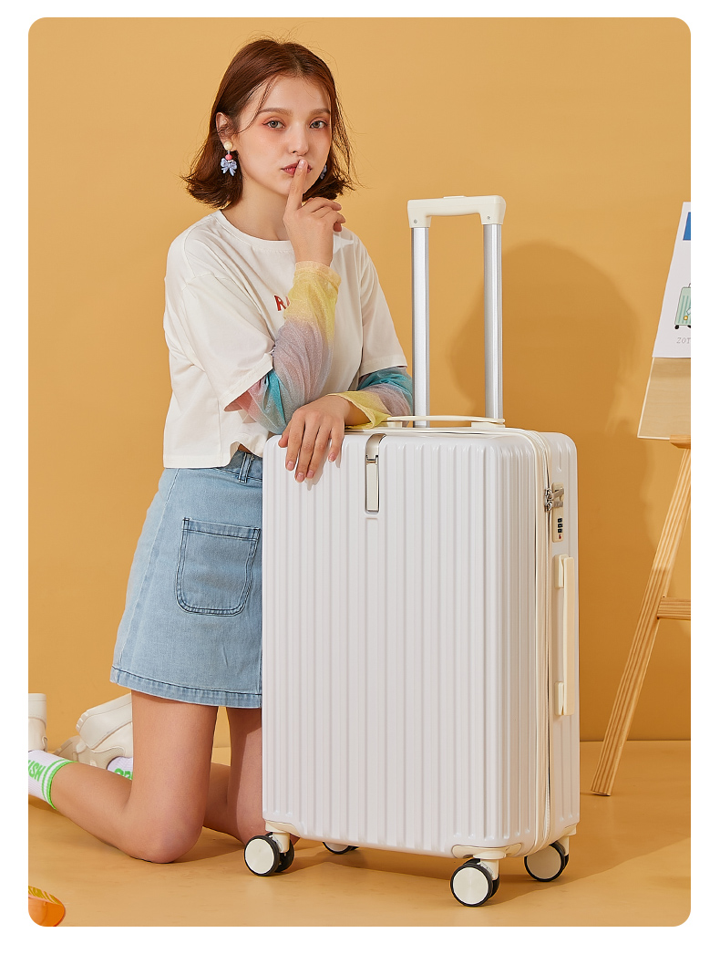 矢向新干县景盛箱包 行李箱女20登机箱24拉杆箱旅行箱男大容量新款