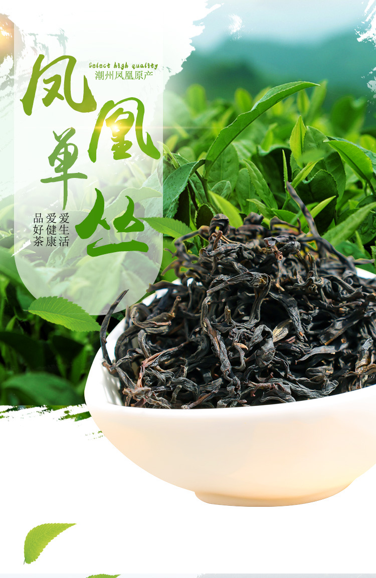 芝兰香凤凰单丛乌龙茶潮州高山单丛茶凤凰乌岽芝兰香单枞茶500g