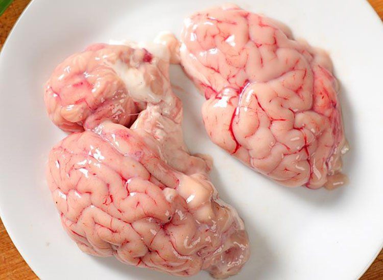 冷冻羊脑羊脑花真空包装火锅烧烤小吃爬山羊脑髓 羊脑3斤【图片 价格