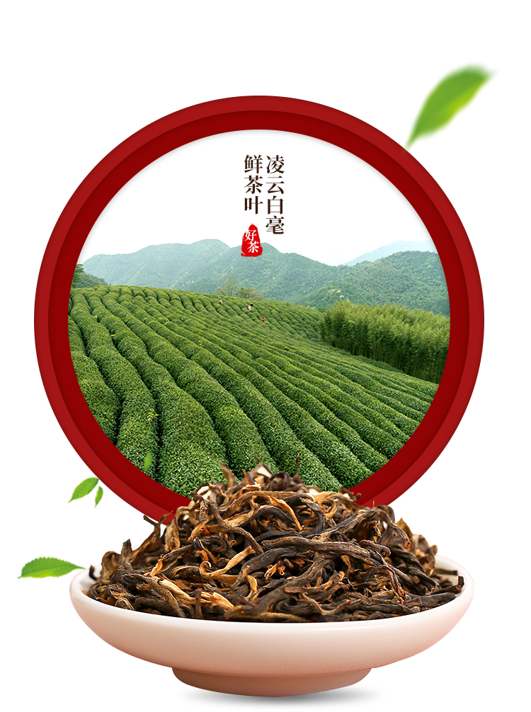有机茶2020新品红韵有机红茶广西特产特级茶叶礼盒装