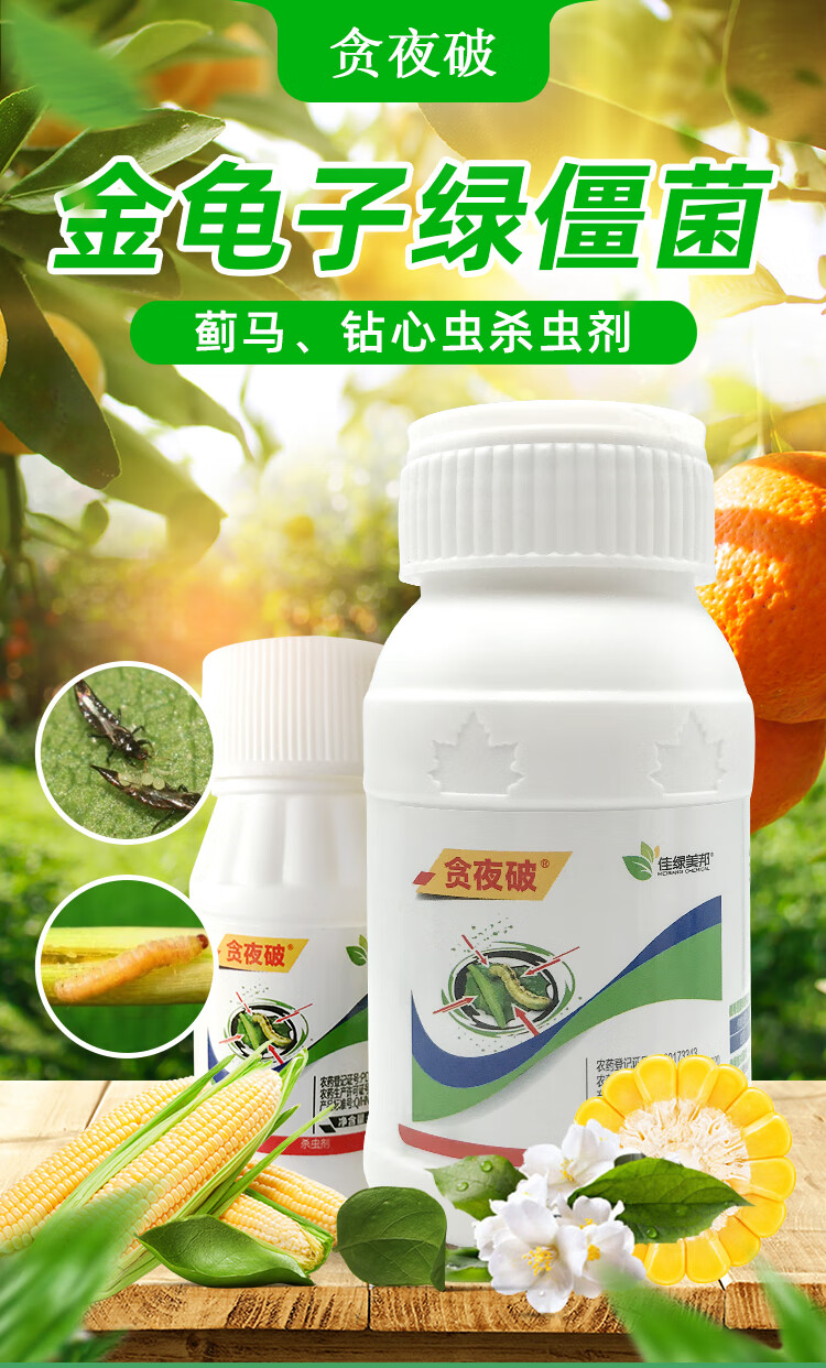 金龟子绿僵菌蓟马专用药农四季豆专打虫卵双杀钻心虫卷叶虫杀虫剂 30g