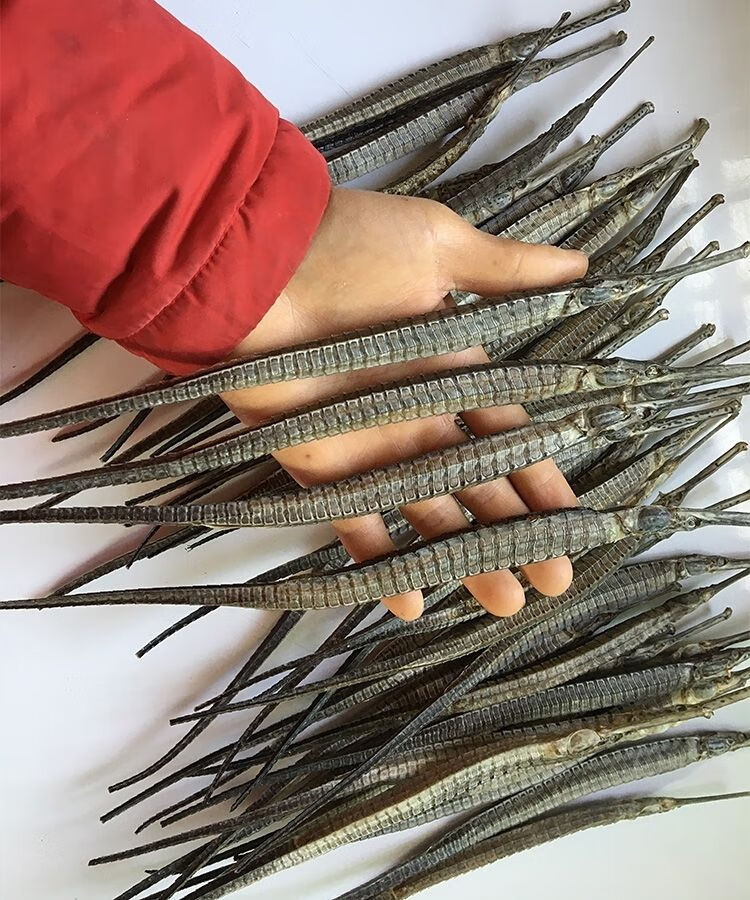 【海龙干货】新晒大海龙大刁六角海龙 海产干货中材泡酒料【】【21