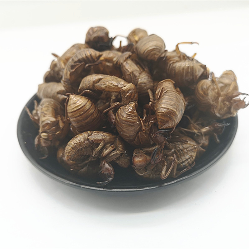 同仁堂楚桂园中药材蝉蜕虫蜕虫退知了皮蝉退壳爬了猴蝉衣100g【图片