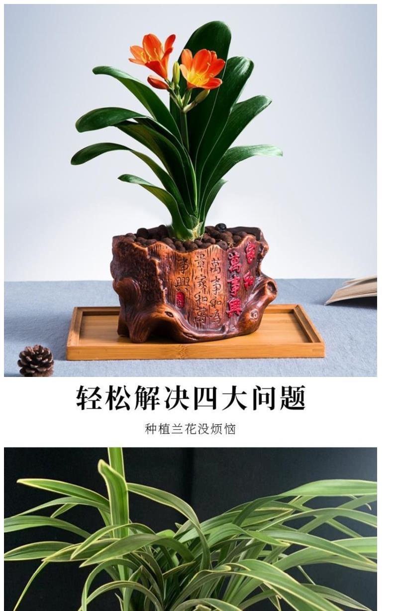 君子兰专用土君子兰土壤通用种花营养土种植经济装养花土养花盆栽其六
