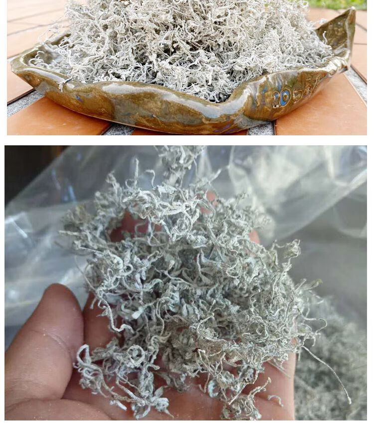 长寿藤茶茅岩霉茶龙须芽尖原产地小藤稀 250克袋装【图片 价格 品牌